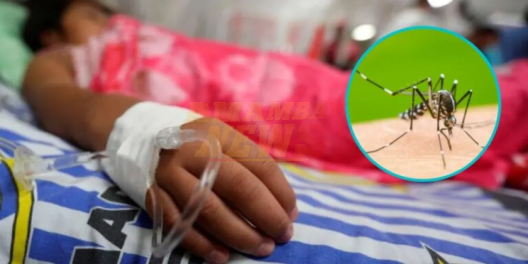 Casi 4 mil sospechas de dengue en IPS durante diciembre