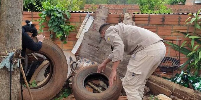 Dengue en aumento: ¿Qué hacer para evitar la propagación del mosquito transmisor?