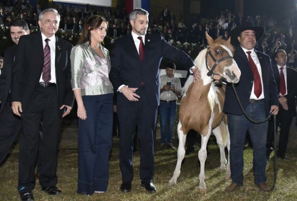 Alfredo Boccia: Presidente débil y torpe