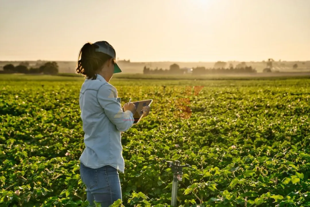 Se realizará en Paraguay el primer «Encuentro Internacional de Mujeres Protagonistas del Agro»