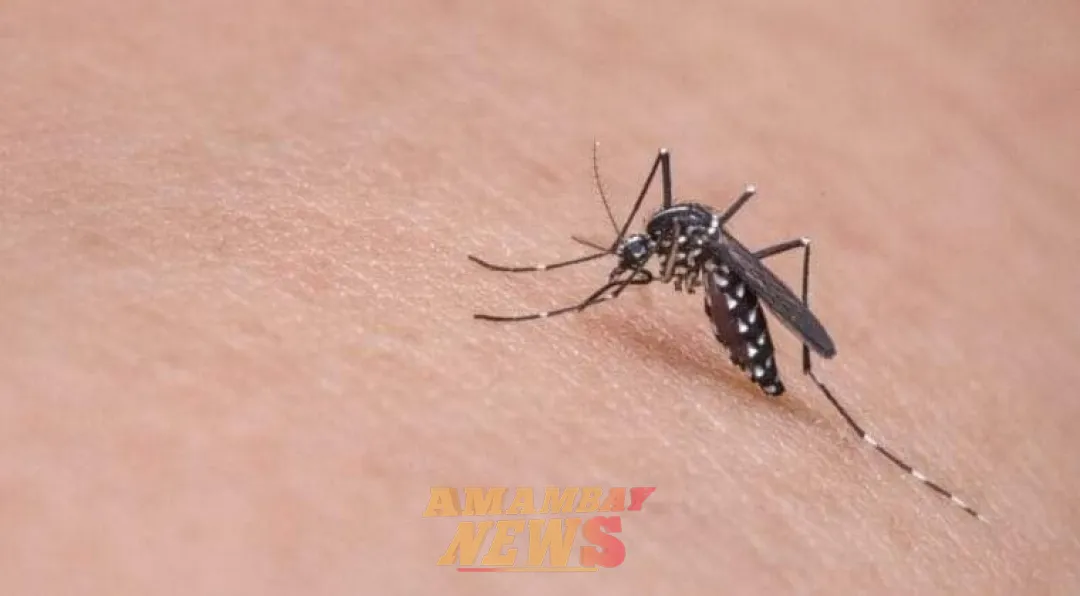 Alarmante aumento de casos de dengue