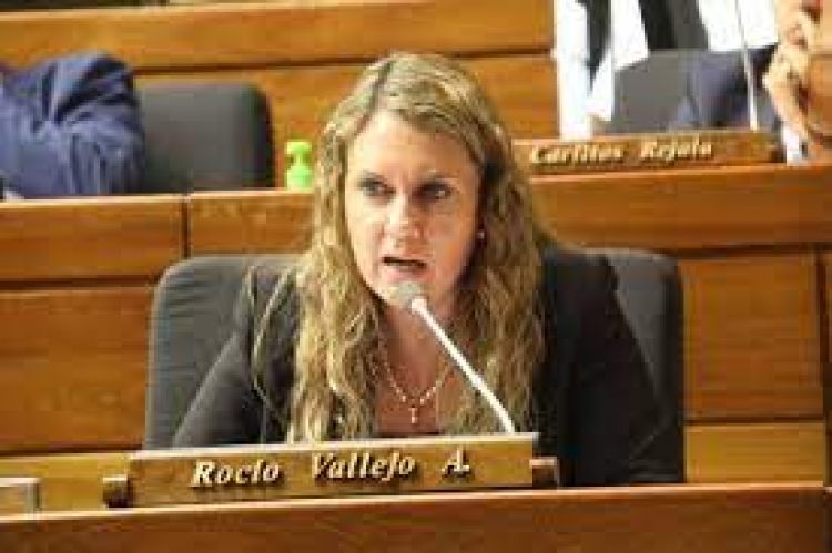 “Tienen miedo de que los votos en el extranjero sea con rencor a la clase política”, dice Vallejo