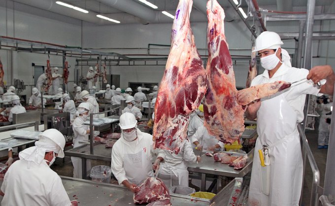 Culmina homologación de certificación sanitaria para exportación de carne bovina con hueso a Israel