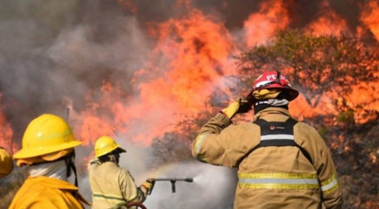 Voraces incendios arrasan bosques nativos en sur argentino