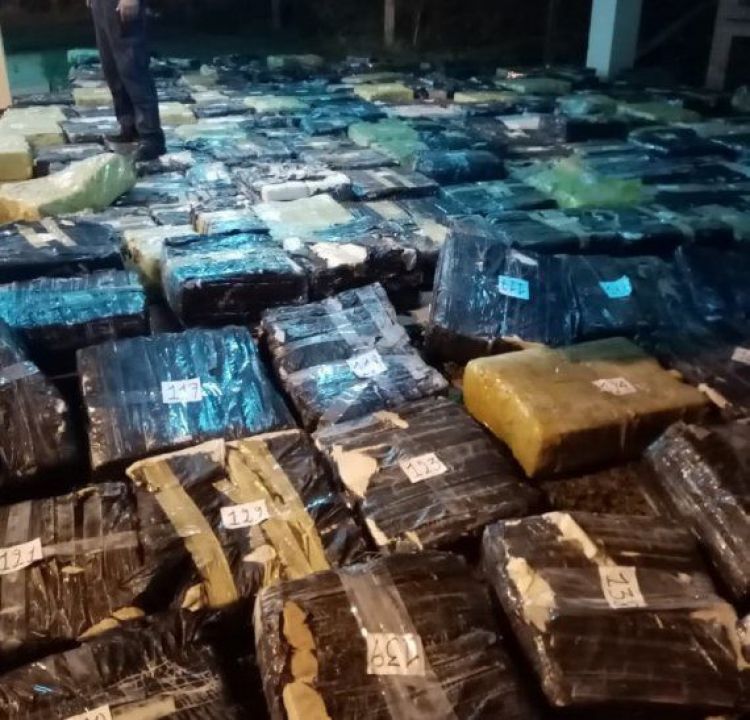 Más de 6 toneladas de marihuana incautada en San Cosme y Damián