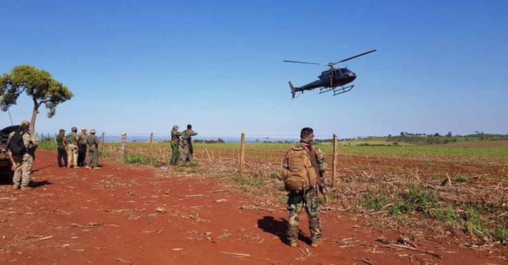 Anulan más de 300 toneladas de marihuana en Amambay