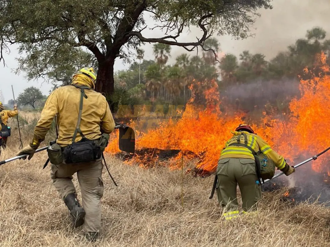 Más de 10.000 hectáreas destruidas por incendios en la primera semana del año