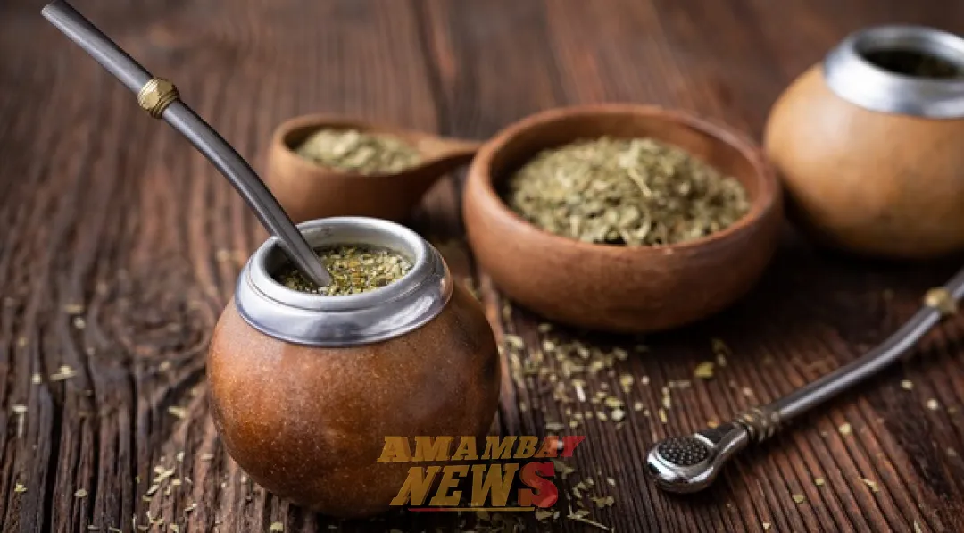 Día de la Yerba Mate: historia, cultura y legado sudamericano