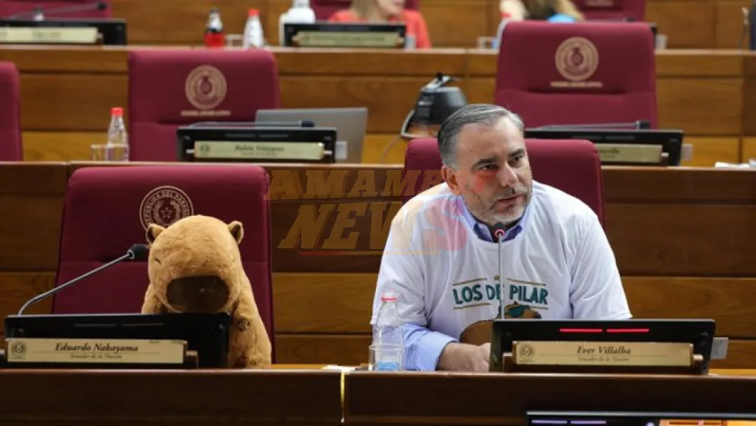 Nakayama ya no es bienvenido en Pilar y un carpincho ocupa su banca del Senado
