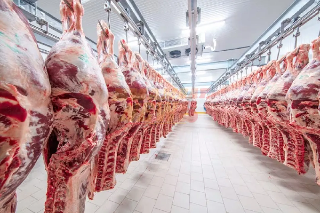 Japón inicia auditoría clave para carne paraguaya