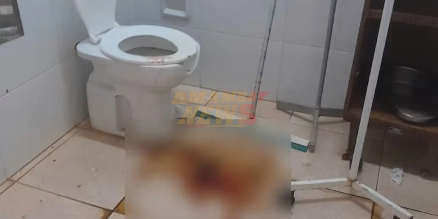 Alto Paraná: madre dio a luz en baño de hospital y denuncia desidia