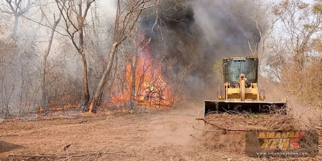 Bomberos continúan arduo combate a incendios forestales en el Chaco