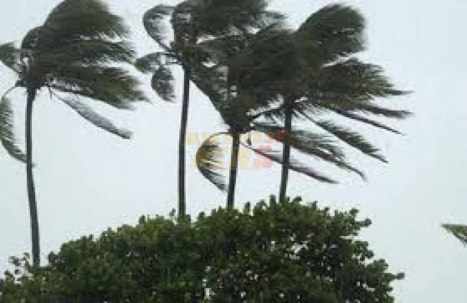 Emiten alerta por vientos de hasta 100 km/h