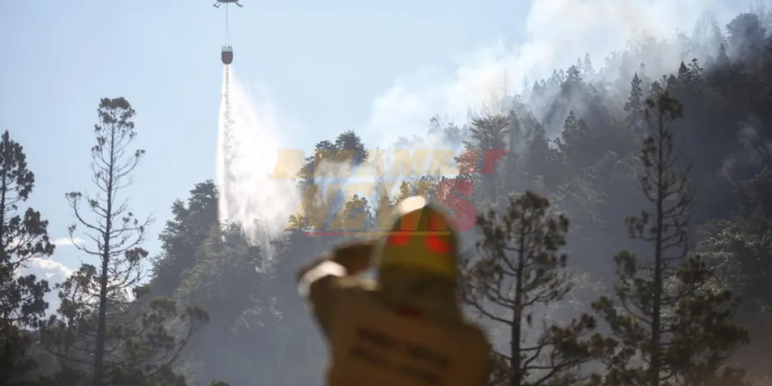Un muerto y 800 evacuados por incendios en Patagonia argentina