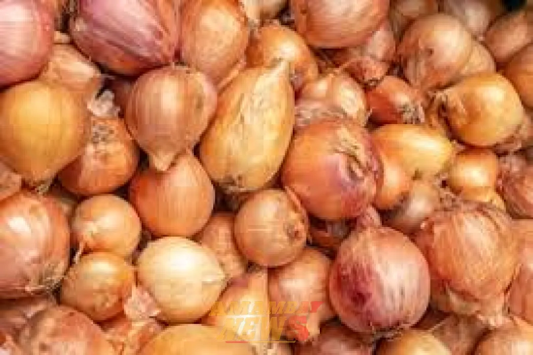 Productores anuncian nueva movilización por el ingreso ilegal de cebollas al mercado local