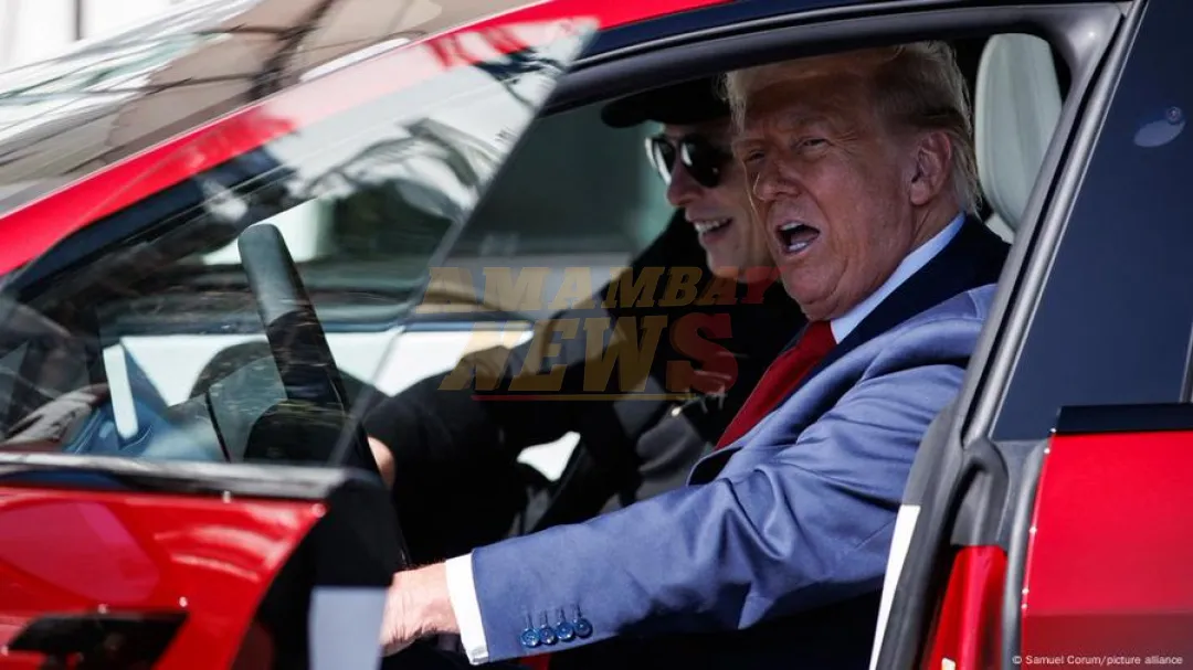 Trump a Musk: Sin subsidios, tendría que irse a Sudáfrica