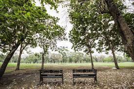 Pronostican ambiente fresco y sin lluvias