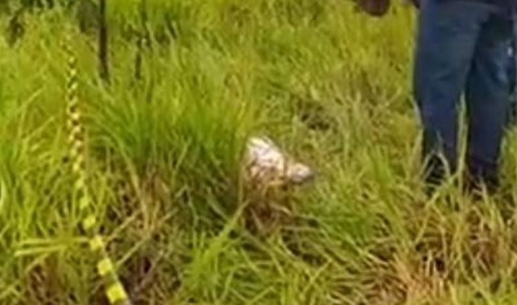 Encuentran cuerpo sin vida de una bebé de aproximadamente un mes en PJC