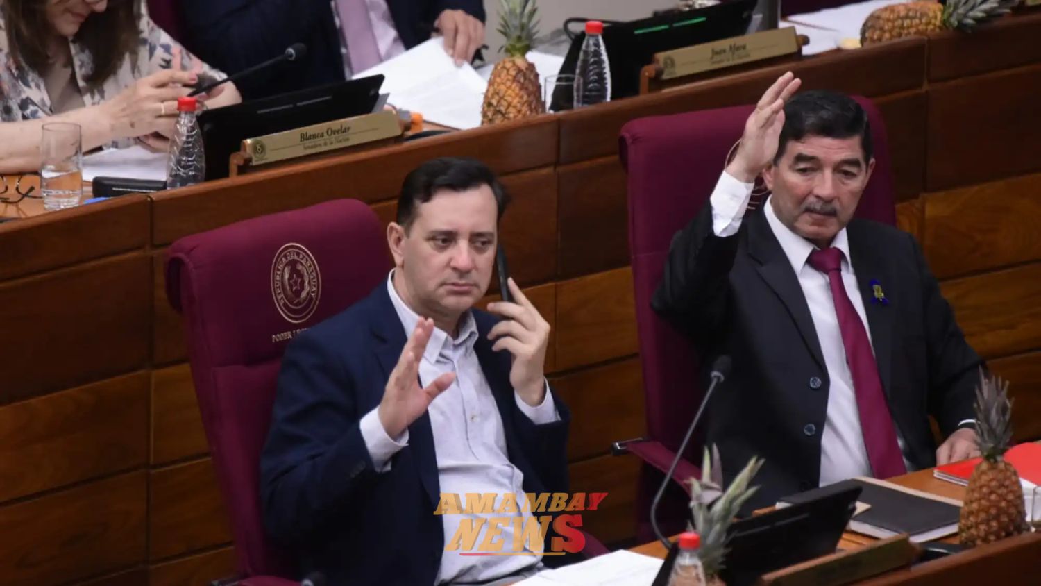 Senador Carlos Núñez asegura 9 votos colorados en contra de la reforma