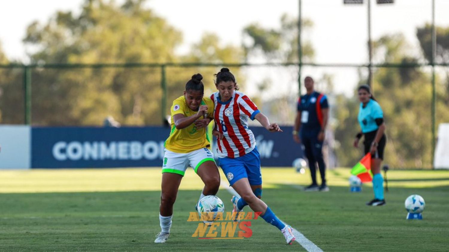 La Albirroja cae ante Brasil en el hexagonal final