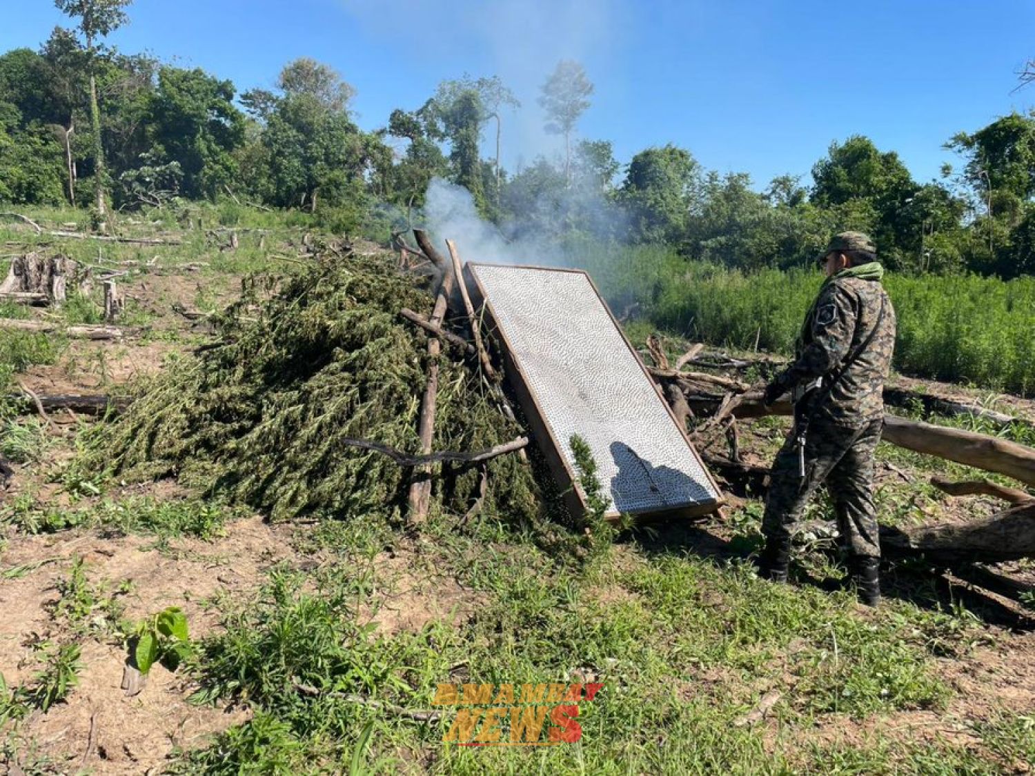 Operación «Nueva Alianza 54» anuló 72 toneladas de marihuana en 3 días