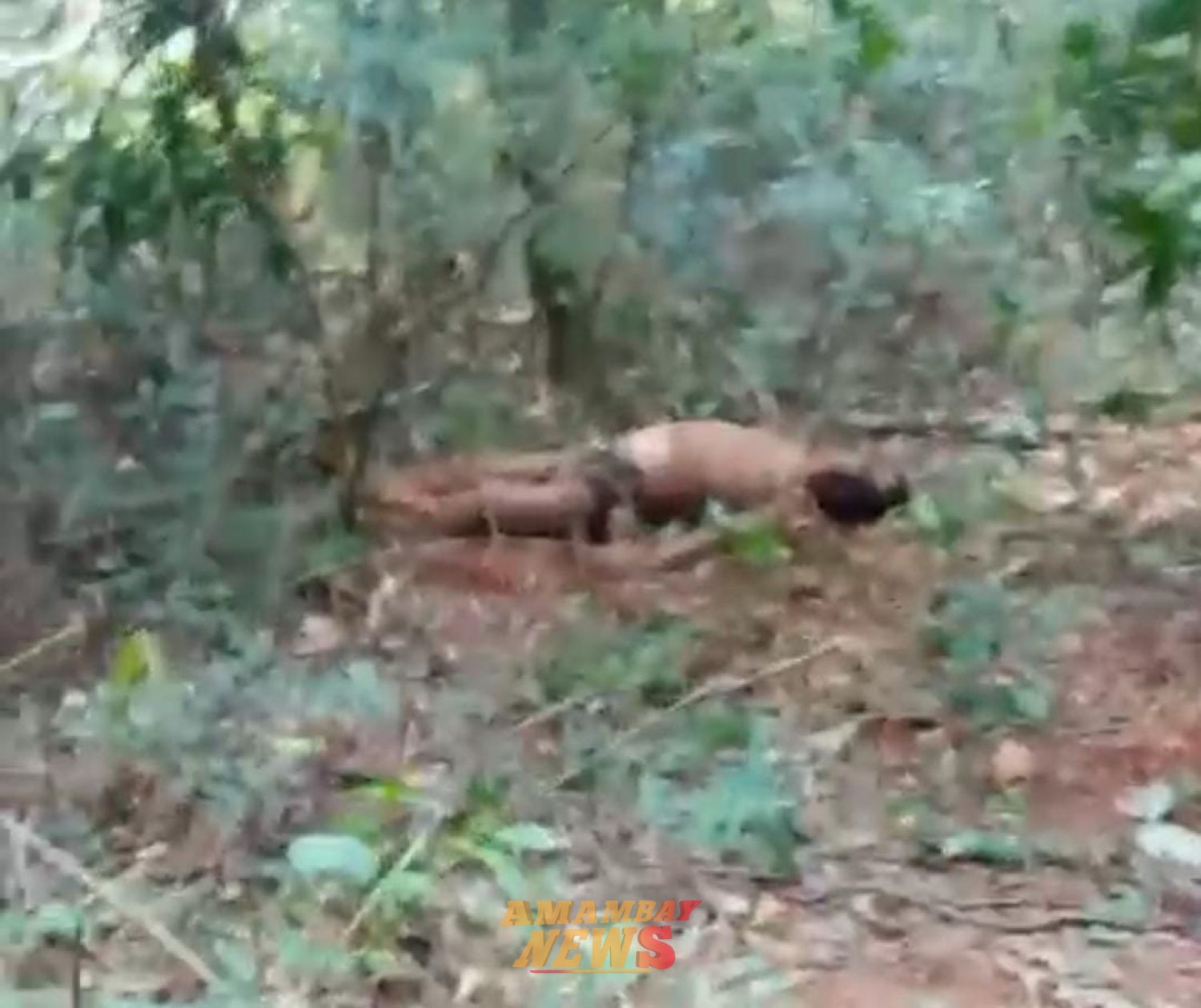 Asesinan a un líder indígena en Capitán Bado