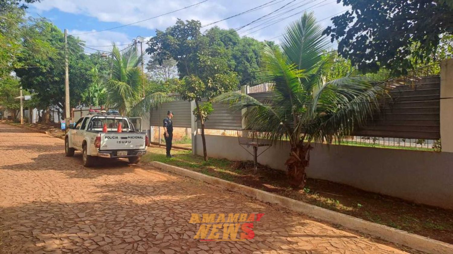 Perro pitbull agrede a su dueño y un vecino en Ciudad del Este
