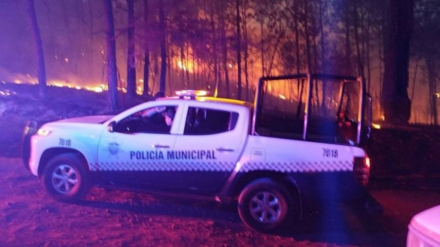 Mueren dos bomberos durante un incendio forestal en Michoacán
