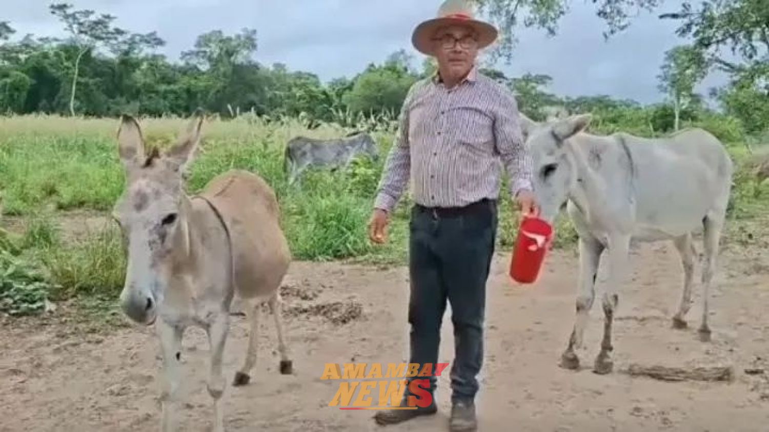 Leche de burra... ¿Milagro en botella o rebuzno con marketing?