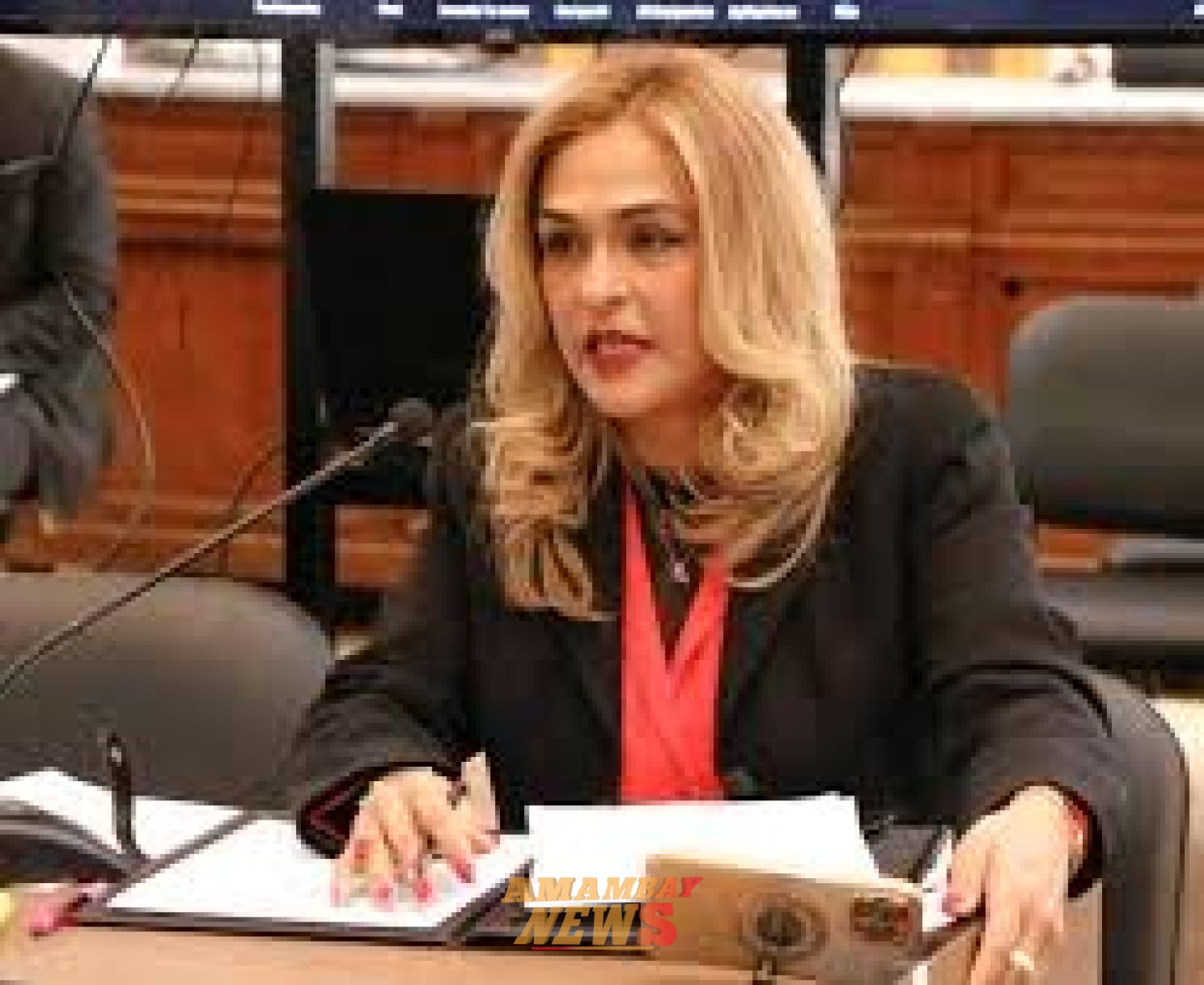JEM retira los fueros a fiscal Stella Mary Cano y pide su suspensión