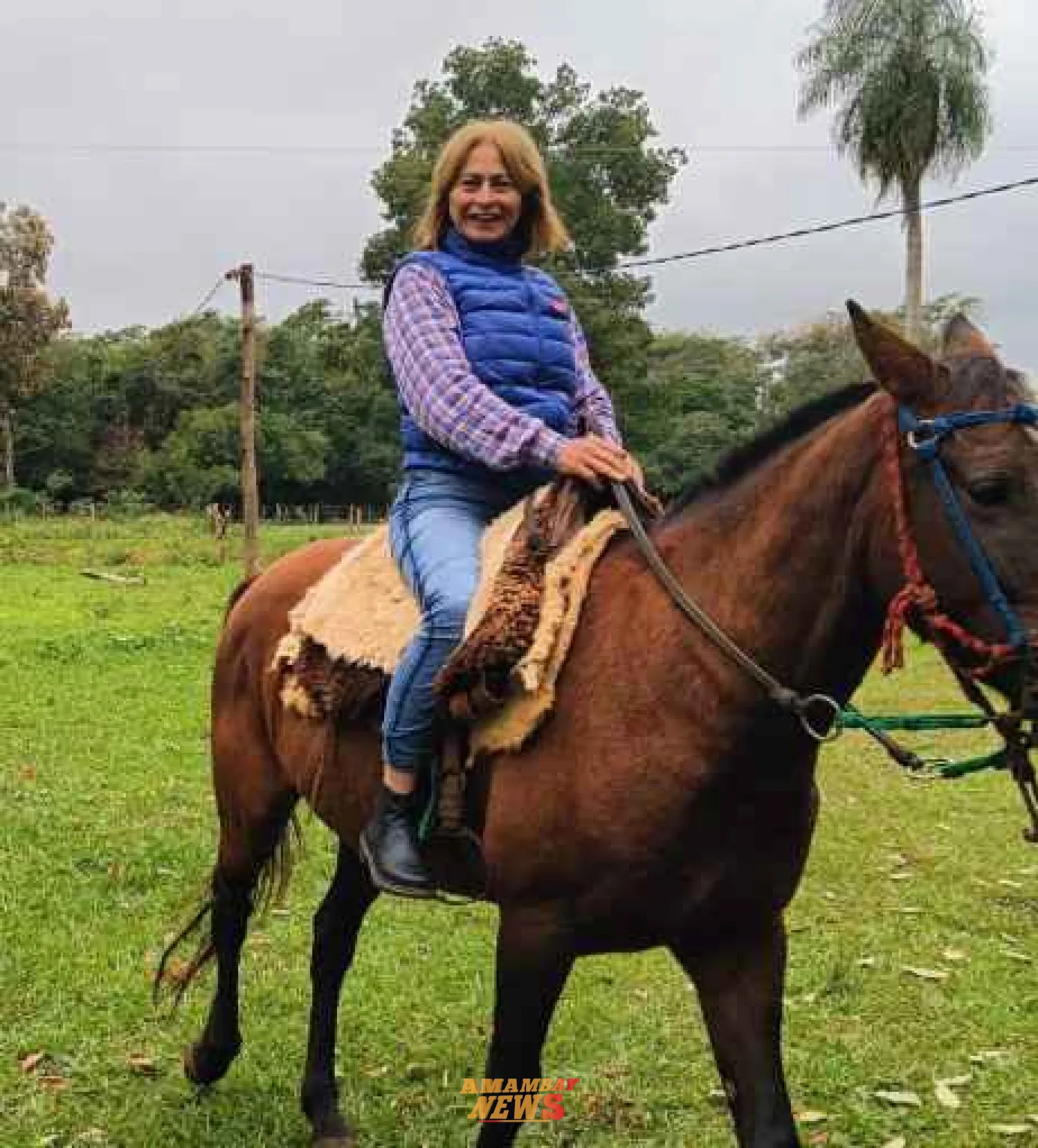 Analizan desalojar  a "Tina y sus mascotas" de la Junta Departamental de Amambay