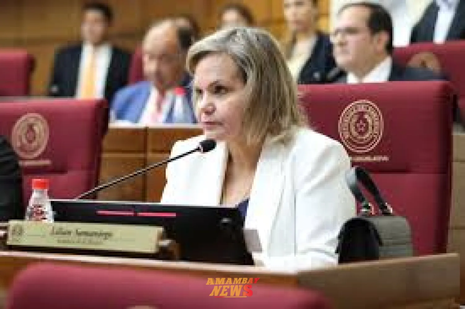 Disidencia de la ANR rechaza reglamentación de senaduría vitalicia