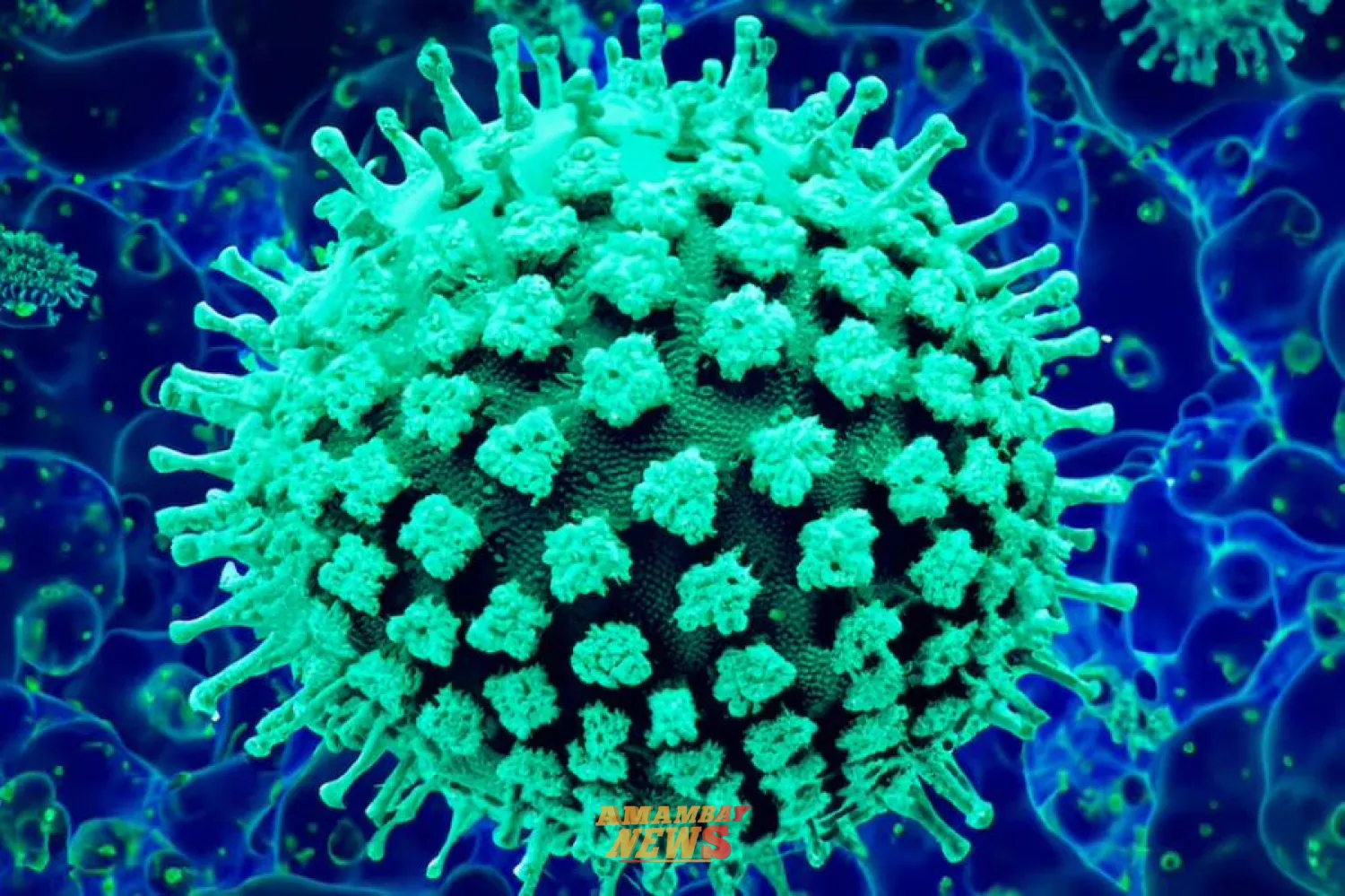La OMS "no cree" que foco de hantavirus sea similar al del inicio de la pandemia