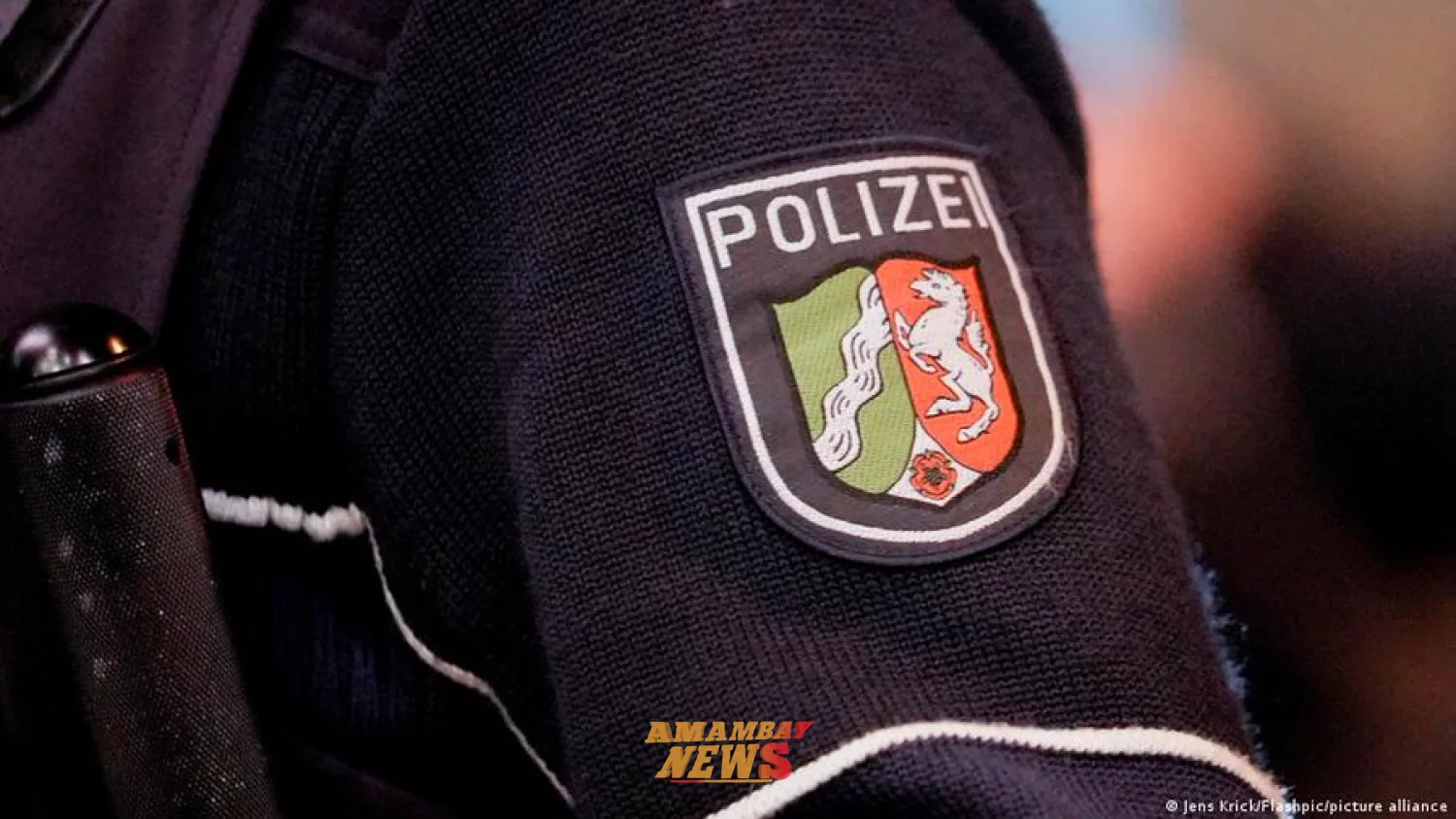 Alemania: redadas contra grupos juveniles de extrema derecha
