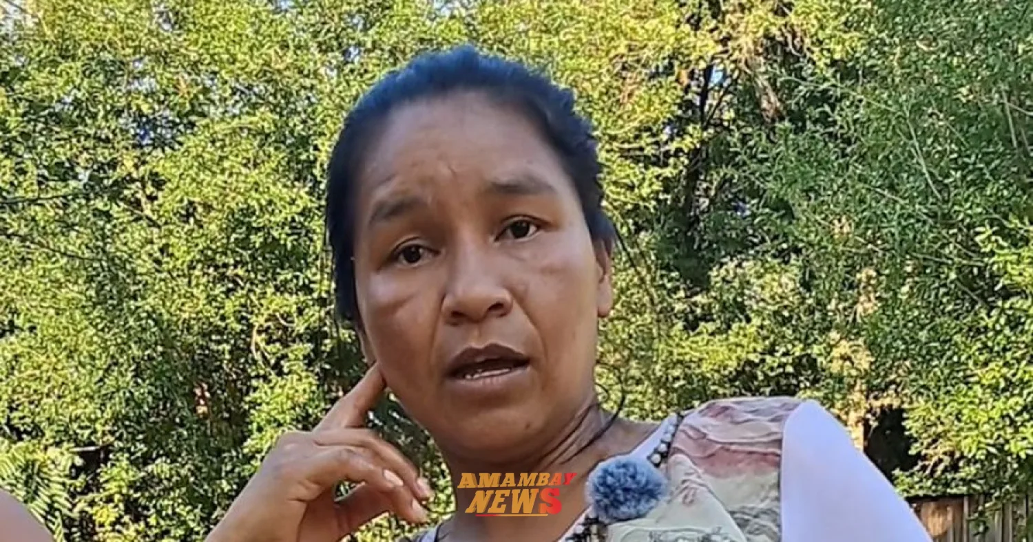 Miguelina Santacruz: la lideresa ava guaraní que no se quedó quieta