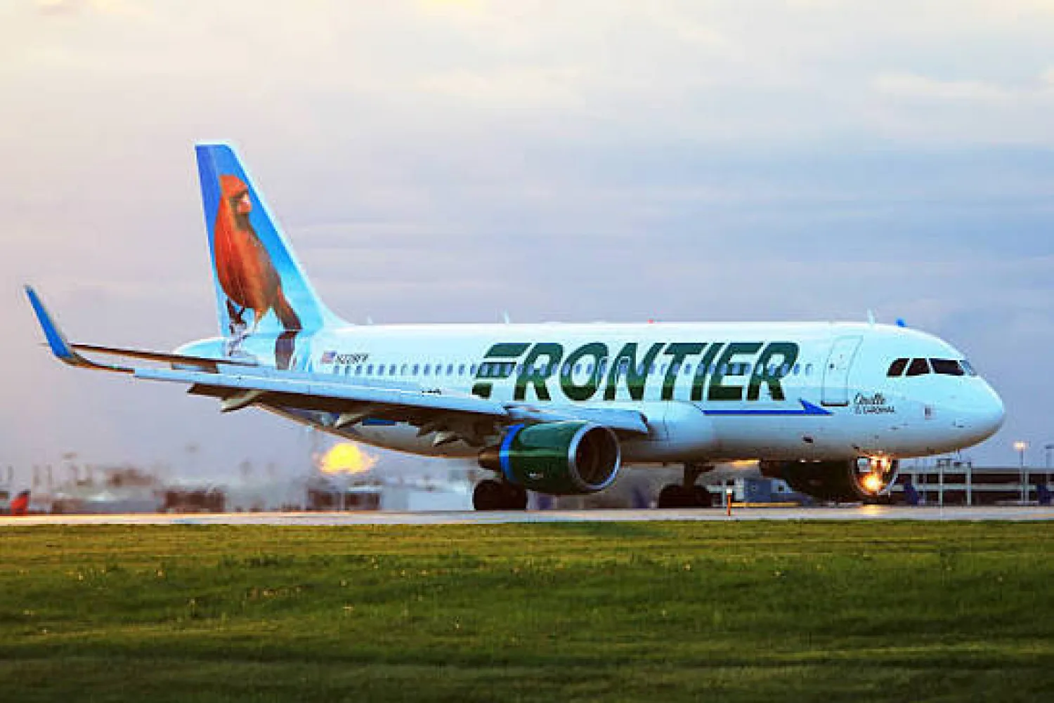 Un avión atropella y mata a una persona que entró sin permiso a pista aérea en Denver