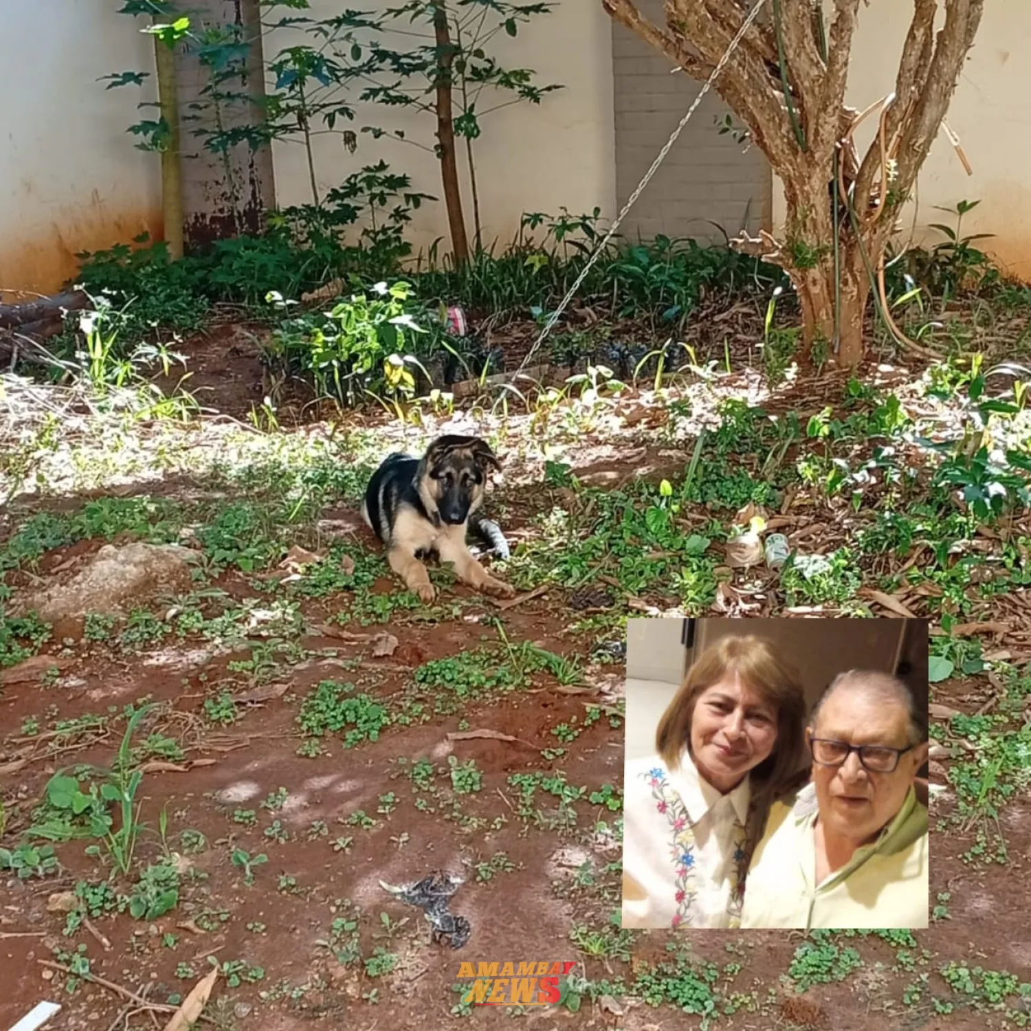 Tras el desalojo de "GEO", Tina y Severo lo traen de nuevo a su "casa" en la Junta Departamental de Amambay
