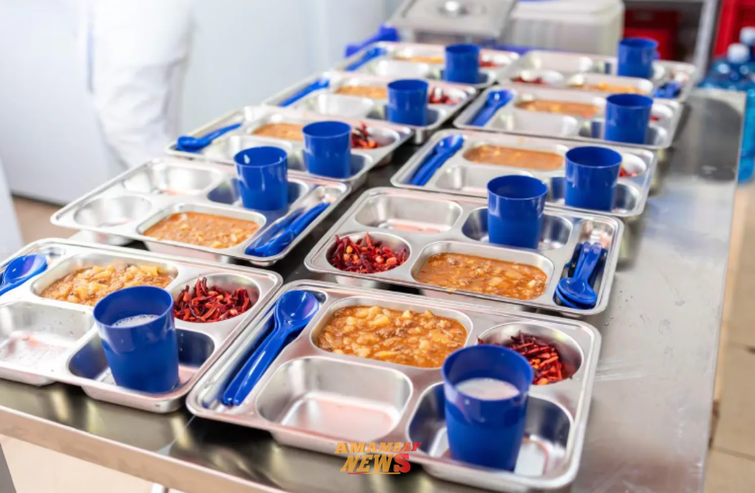 Senado evalua cambios a Hambre Cero en medio de advertencias por posible impacto operativo