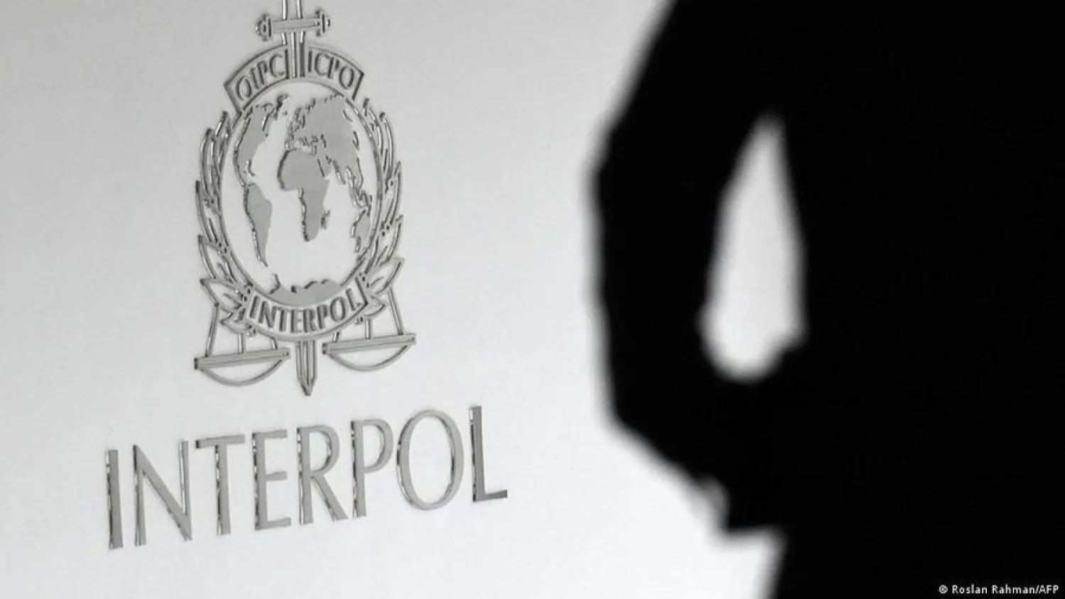Más de 200 detenidos por Interpol contra ciberdelincuencia