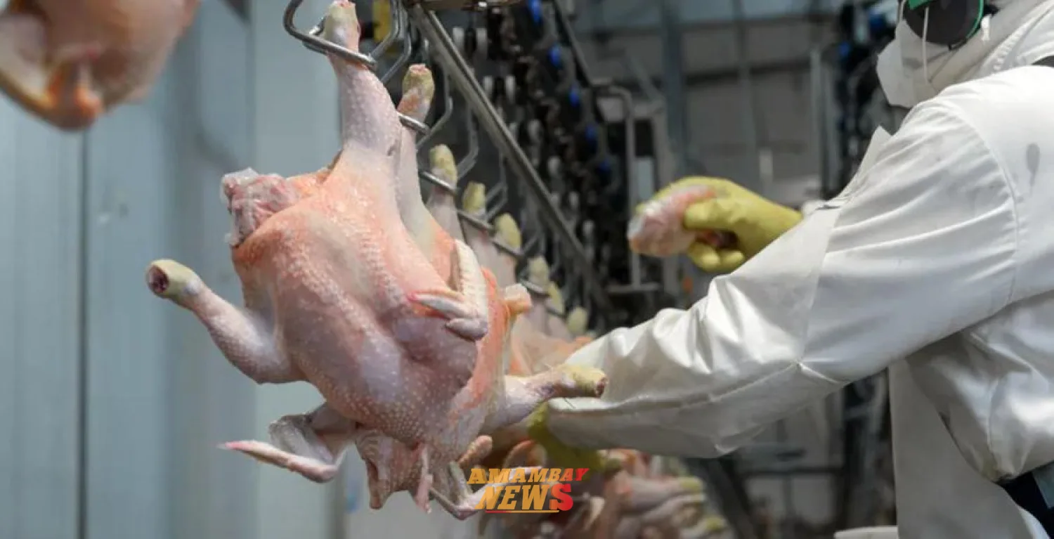 Carne aviar paraguaya conquista Medio Oriente y acelera expansión internacional