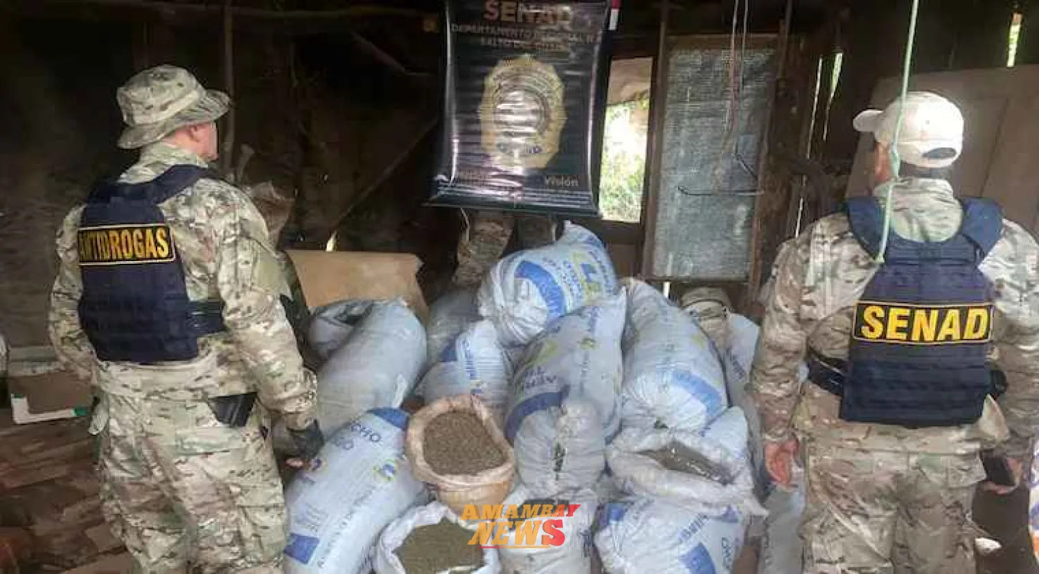 Golpe de USD 2 millones a narcos con destrucción de producción