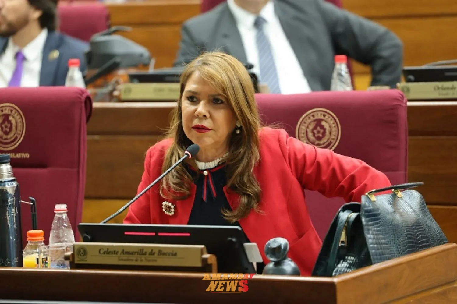 Celeste Amarilla advierte sobre los riesgos de la Inteligencia Artificial y plantea necesidad de regulación