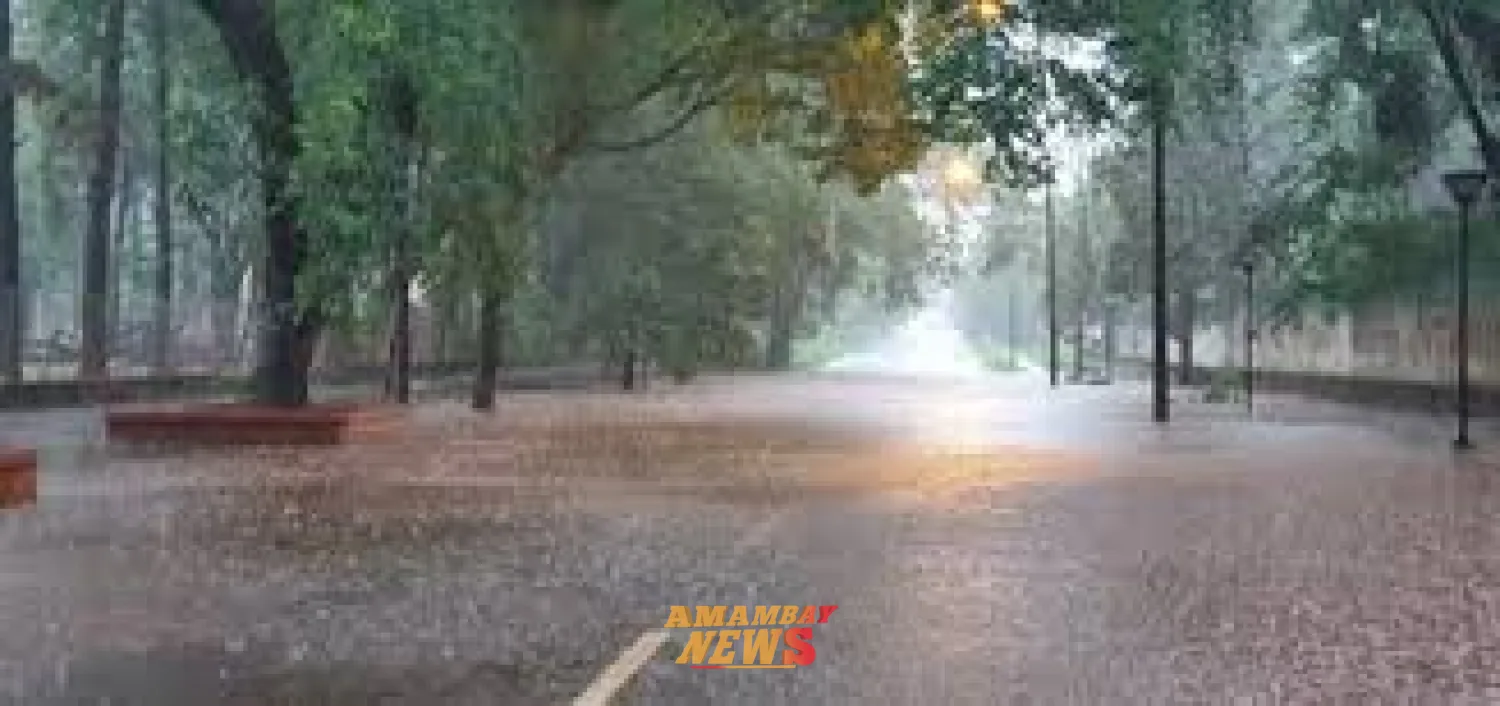 Domingo fresco al amanecer y cálido por la tarde, con posibilidad de lluvias dispersas