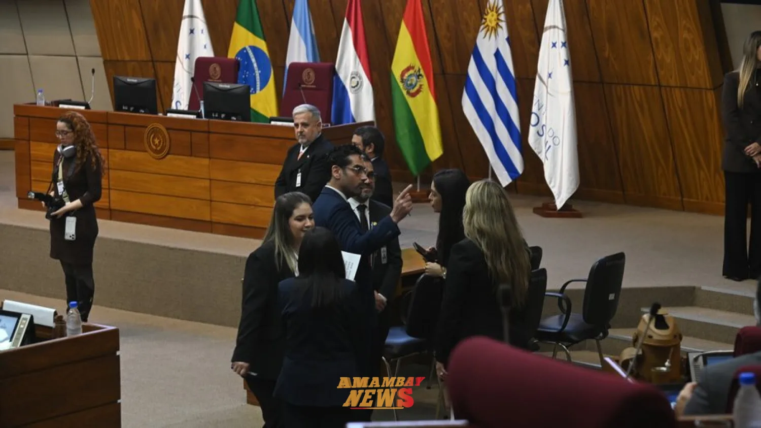Parlasur aprobó en Asunción declaración por la democracia y DDHH en Bolivia