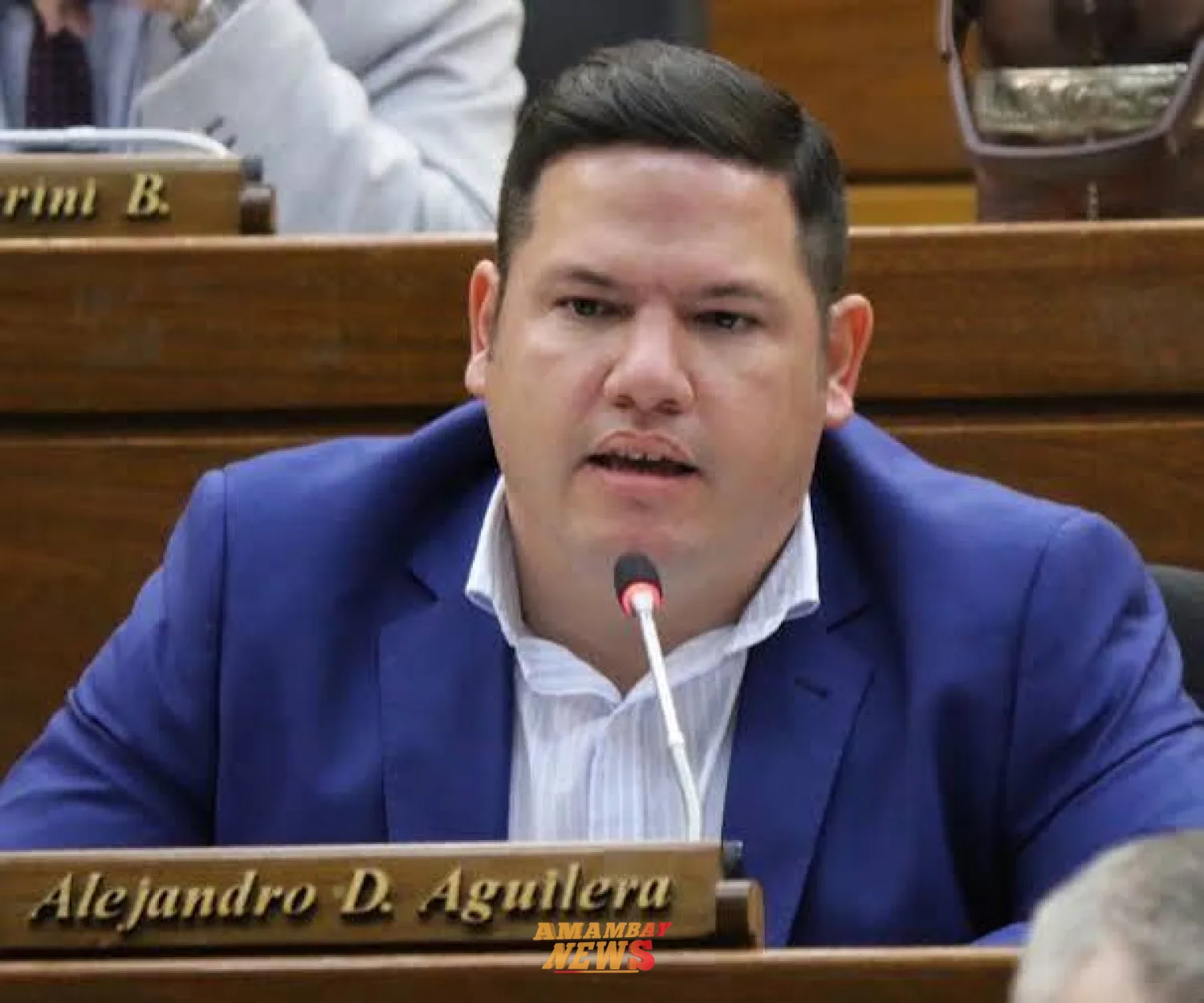 Cartismo no impulsará una sanción desde el Congreso para Celeste Amarilla