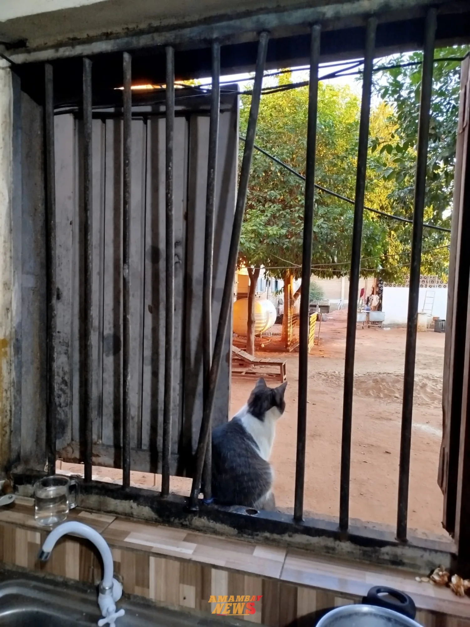 Reclusos se fugan de la Penitenciaría de Misiones tras cortar el vallado perimetral