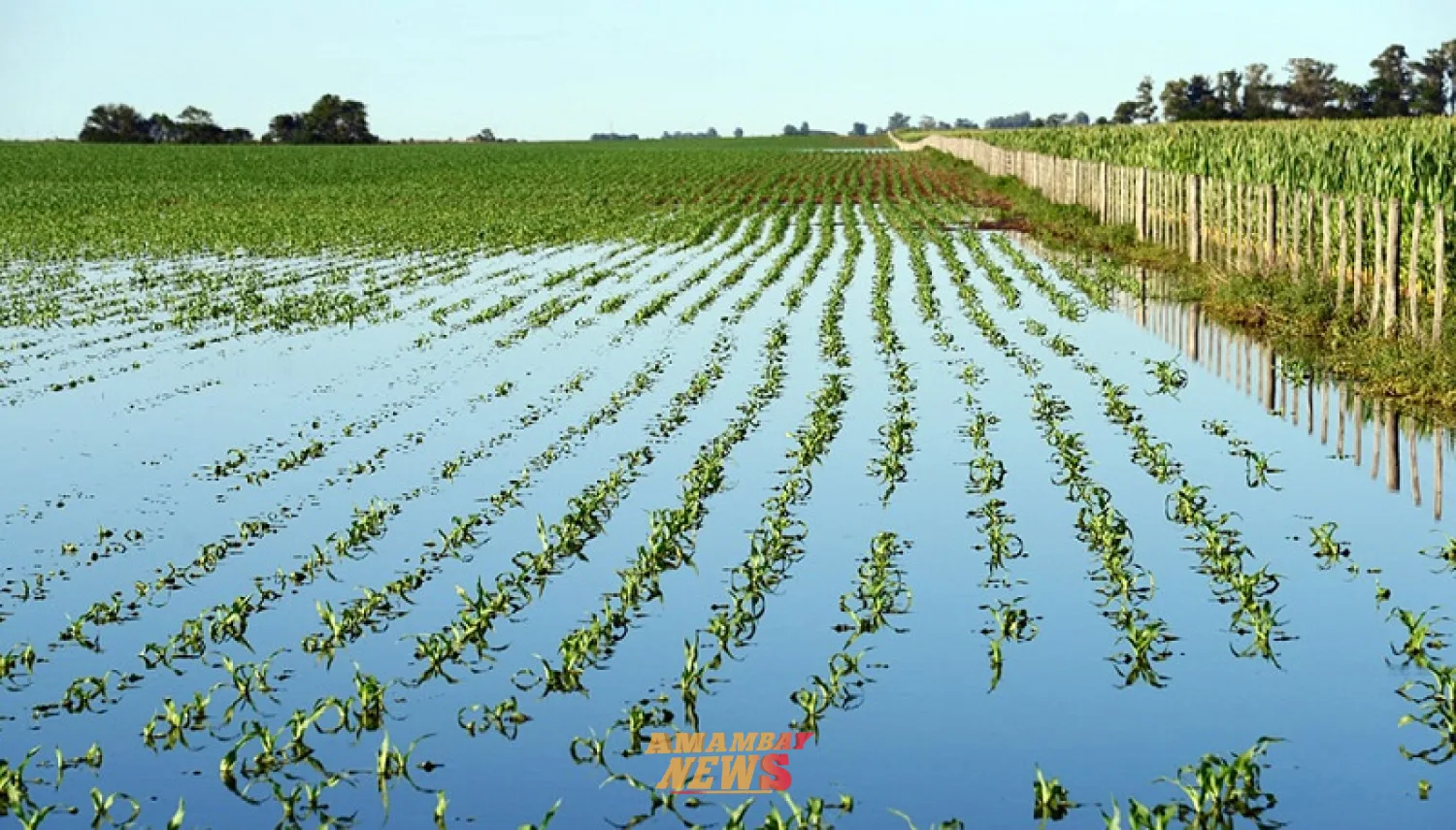 MAG advierte que el fenómeno de El Niño podría golpear la producción hortícola y elevar el riesgo de inundaciones