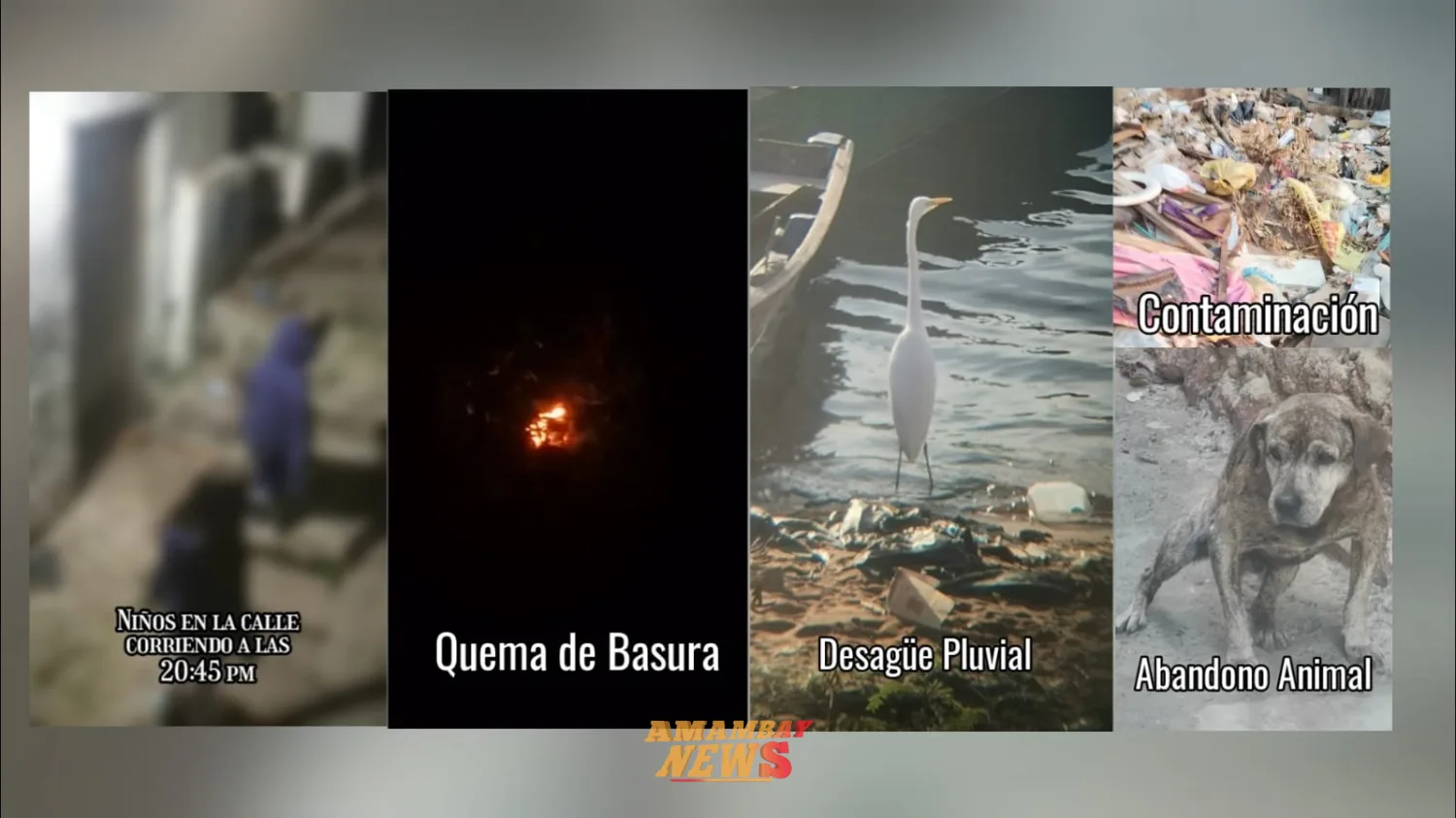 Relacionada