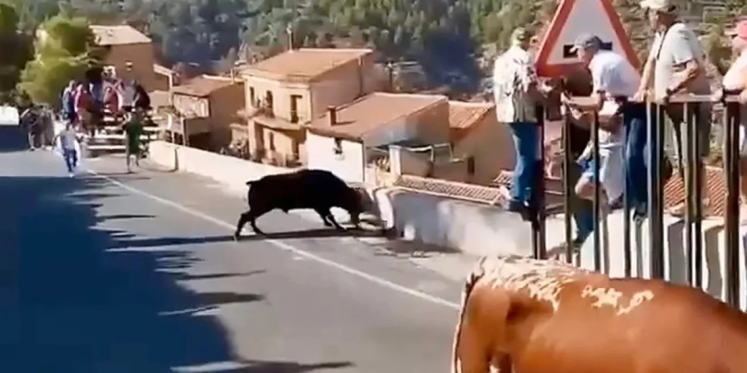 Relacionada