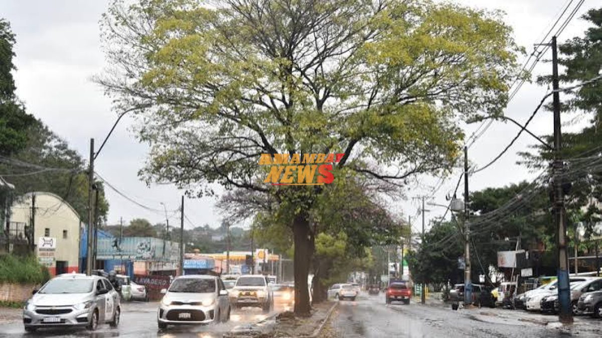 Vientos del sur soplarán este sábado e irá bajando la temperatura